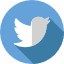 twitter-link